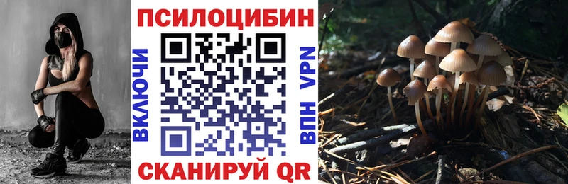 Галлюциногенные грибы прущие грибы  Горбатов 